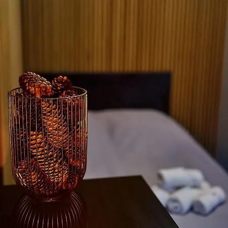 Laguna 57 波兰尼卡-兹德鲁伊